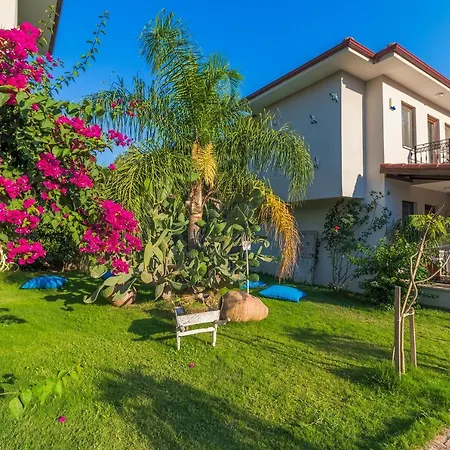 Mavi Deniz Guest house 3*