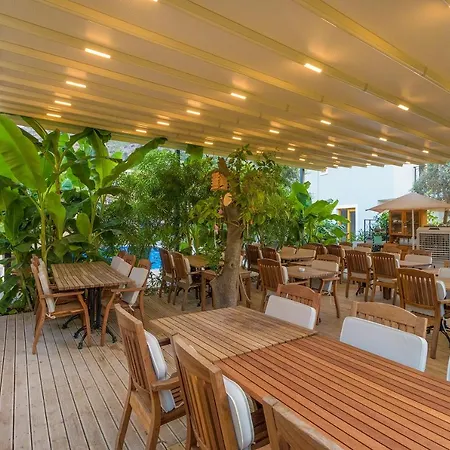 Mavi Deniz Selimiye (Aegean)