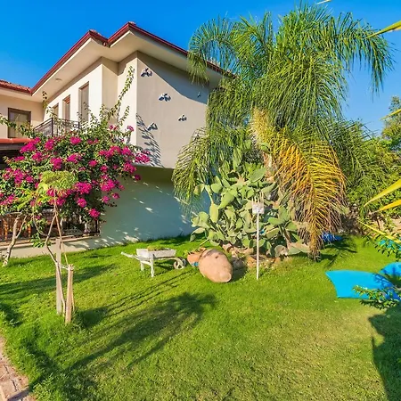 Mavi Deniz 3* Selimiye (Aegean)