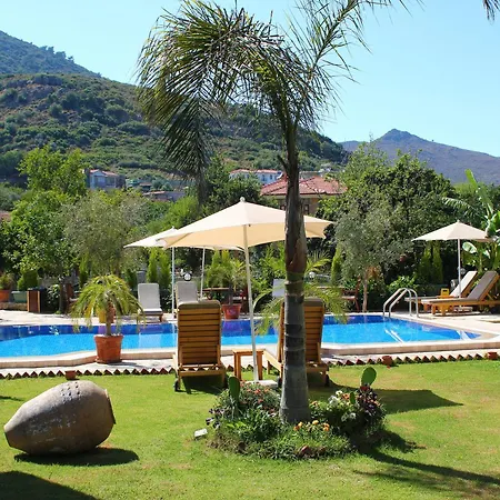 Guest house Mavi Deniz 3*