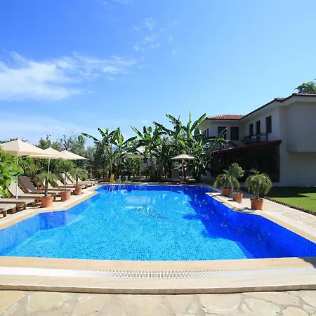 Mavi Deniz Selimiye (Aegean)