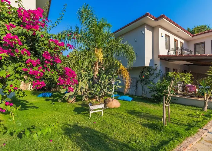 Mavi Deniz Guest house 3*