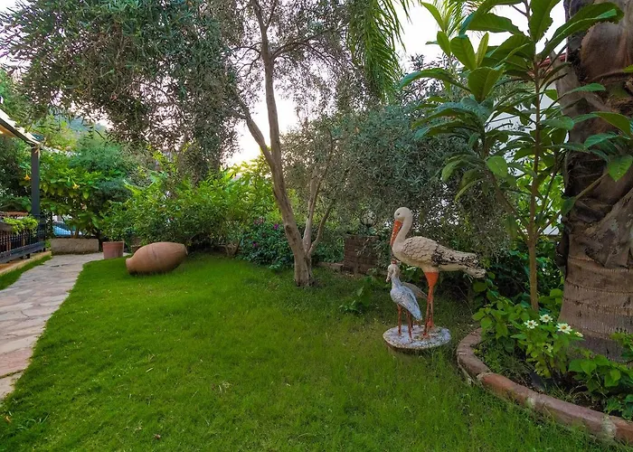 Mavi Deniz Guest house Selimiye (Aegean)