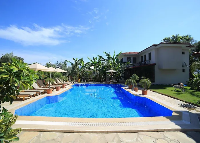 Mavi Deniz Selimiye (Aegean)