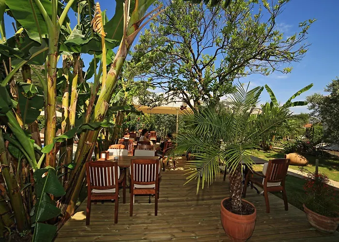 Mavi Deniz 3* Selimiye (Aegean)